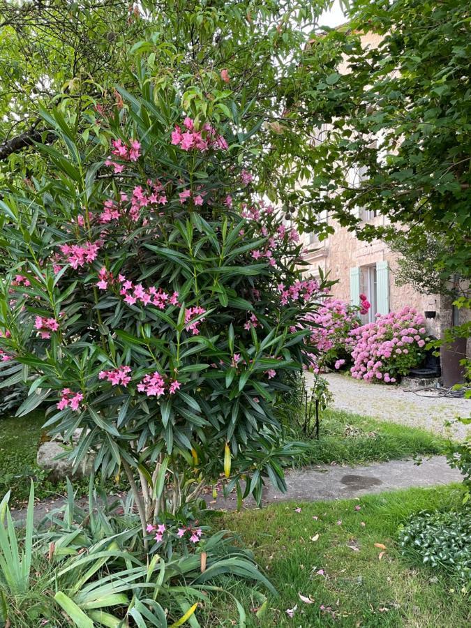 La Maison D'Hortense Et Lili Allemans Eksteriør bilde